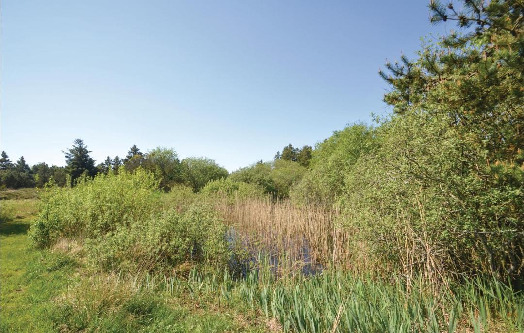 Photo of Others in Frostrup