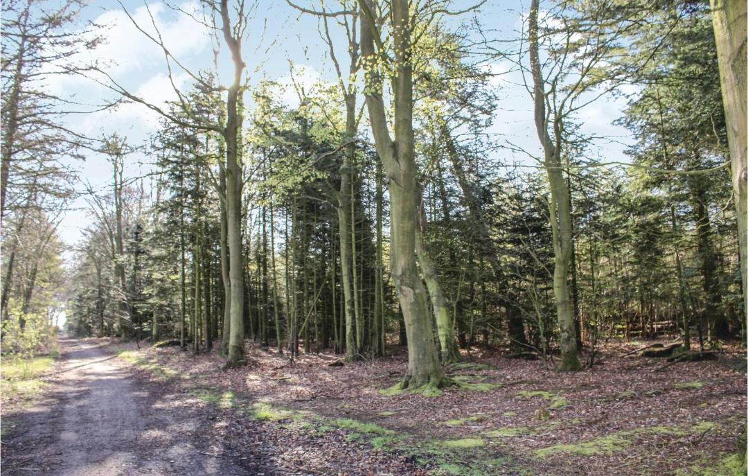 Photo of Others in Løgumkloster