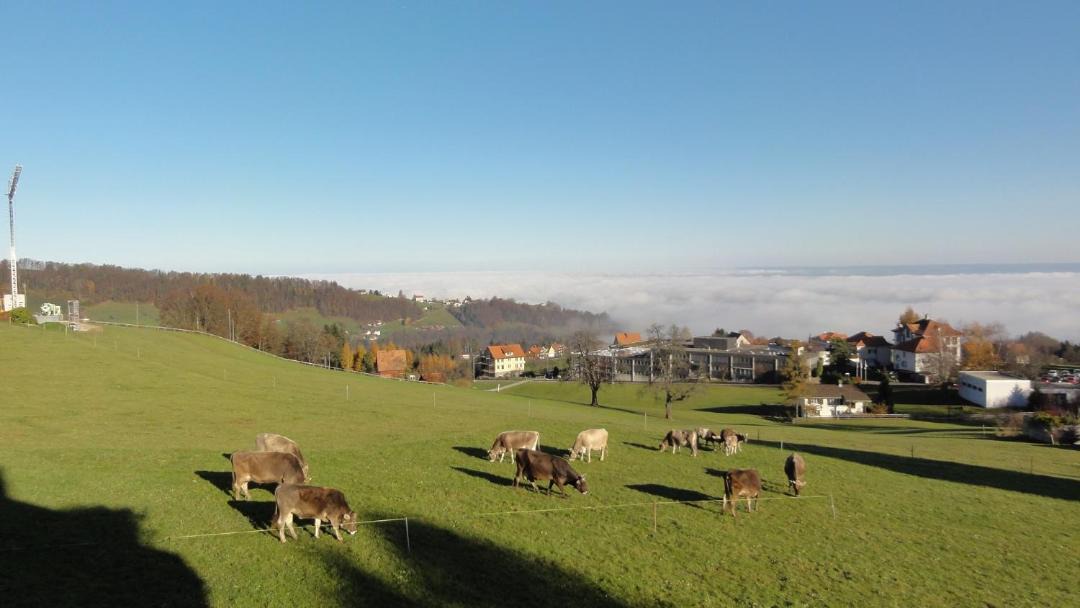 Photo of Others in Heiden