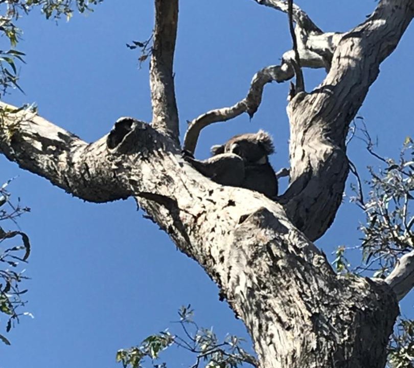 Photo of Others in Houghton