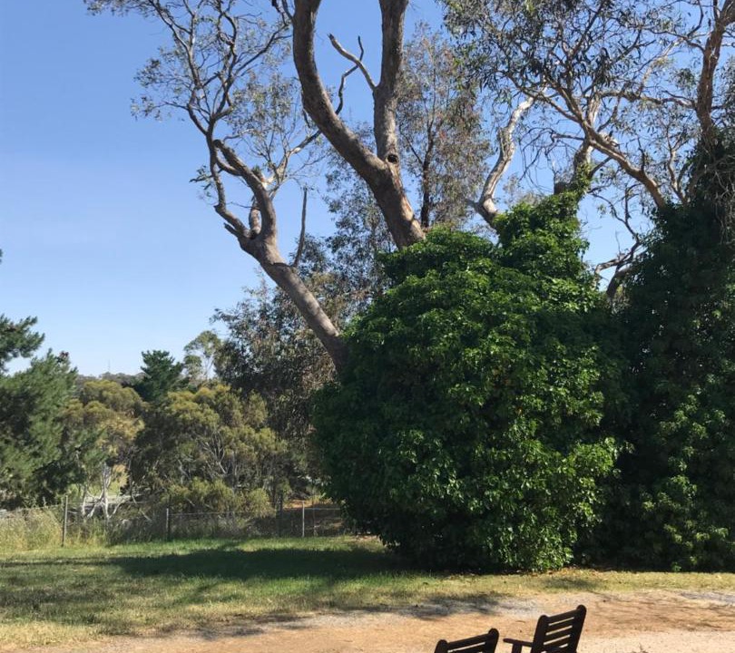 Photo of Others in Houghton