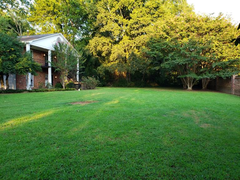 Photo of Others in Holly Springs