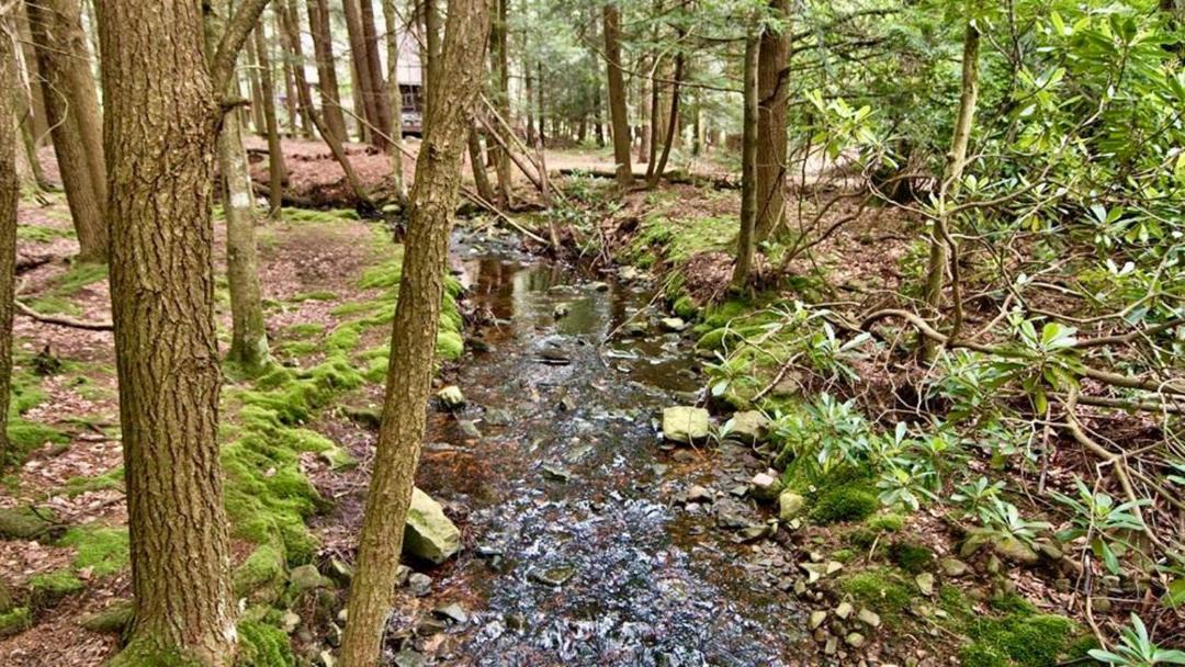 Photo of Others in Pocono Pines