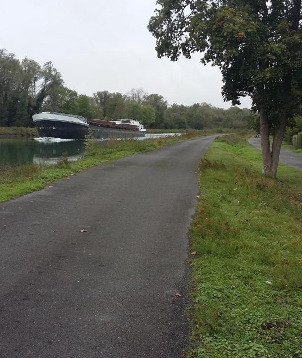 Photo of Others in Fressies