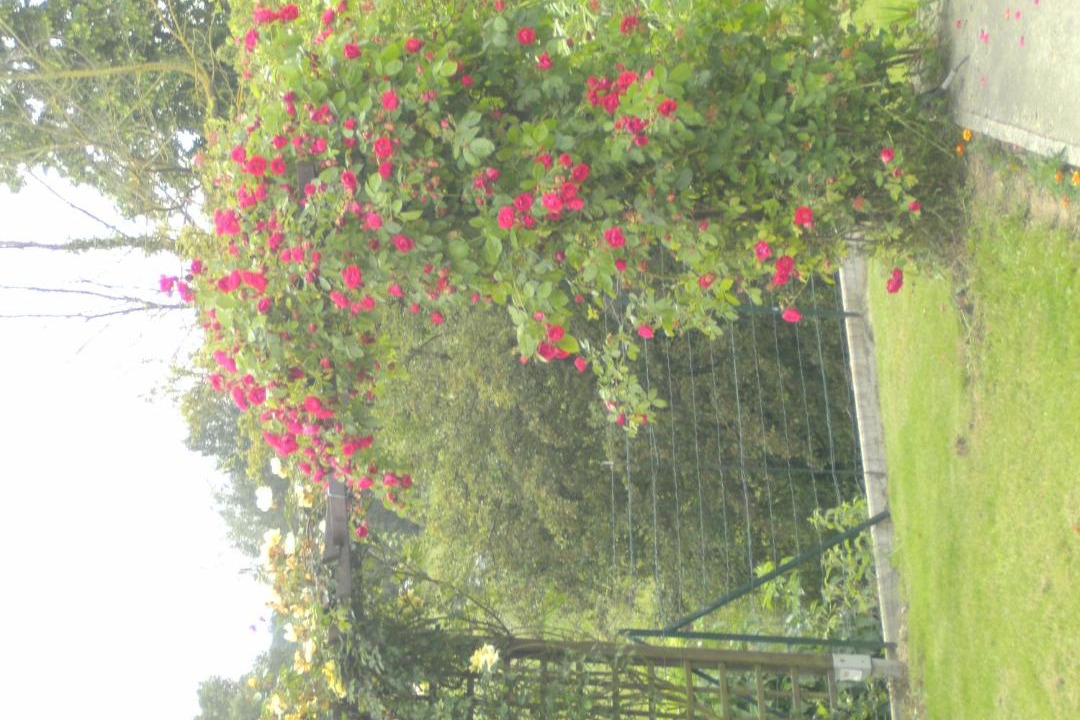 Photo of Others in Saulzoir