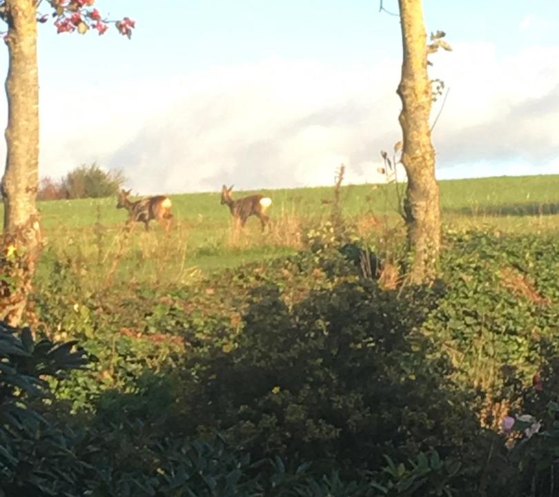 Photo of Outdoor in Nordborg