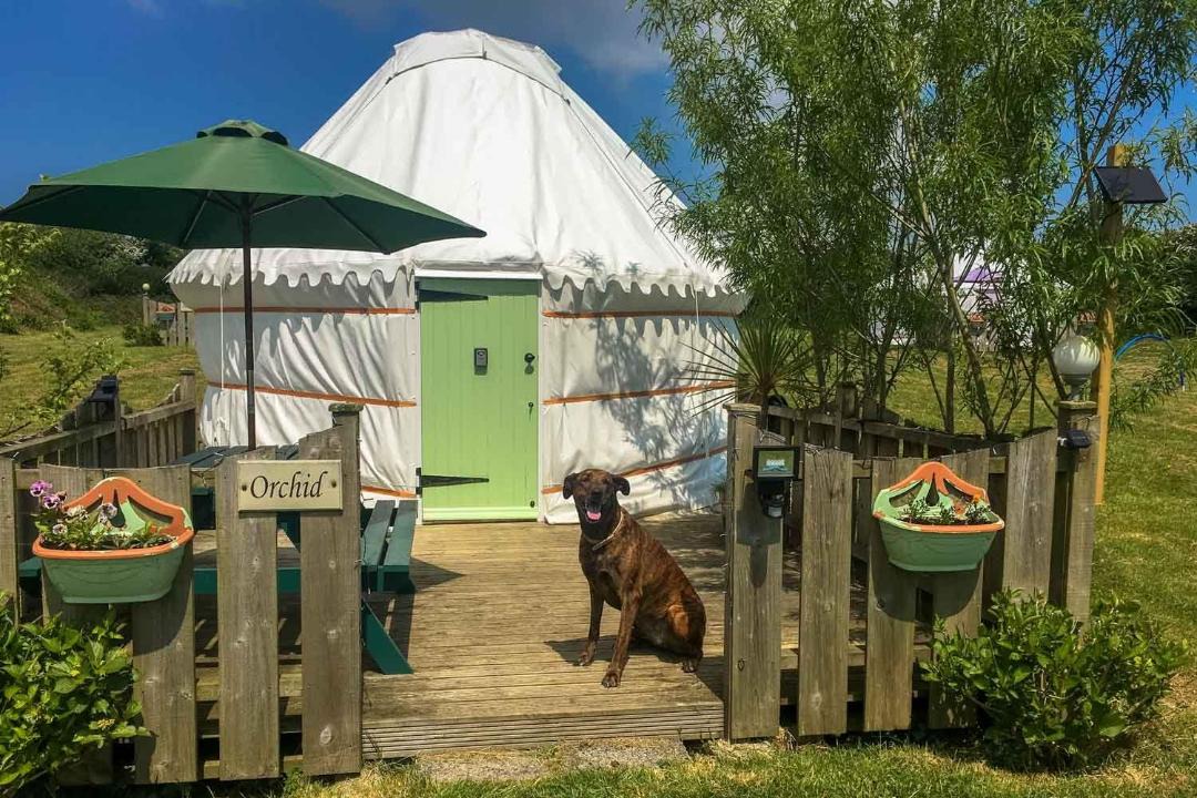 Photo of Buildings in Truro