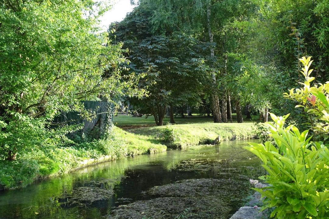 Photo of Others in Duvy