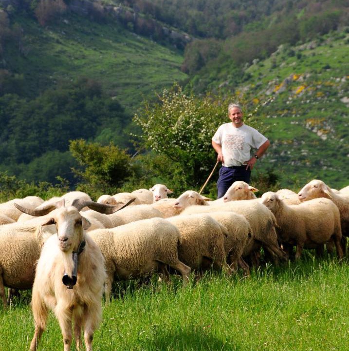 Photo of Others in Ochagavia