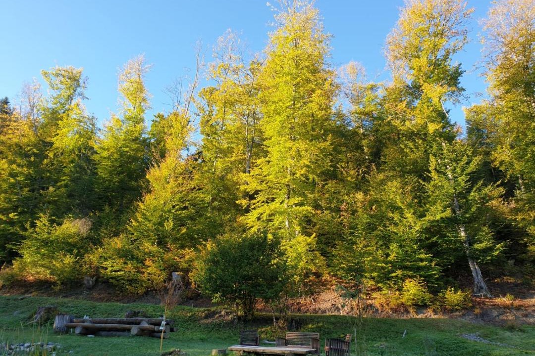 Photo of Others in Seyne