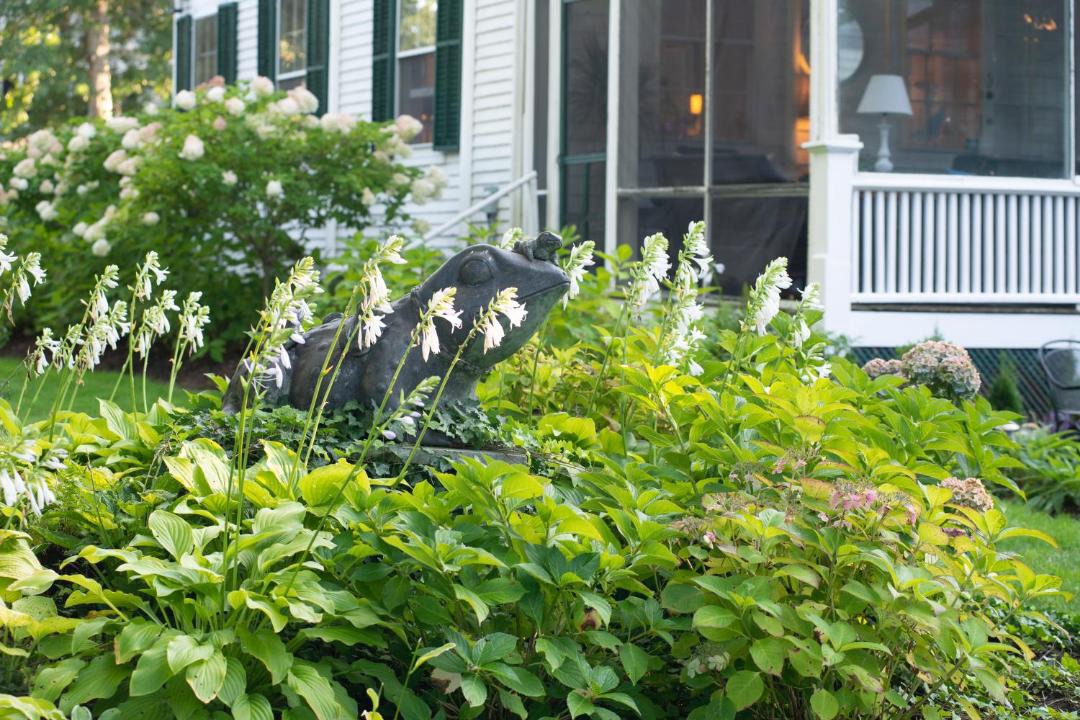 Photo of Others in Yarmouth Port