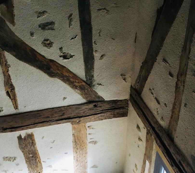 Photo of Others in Avallon