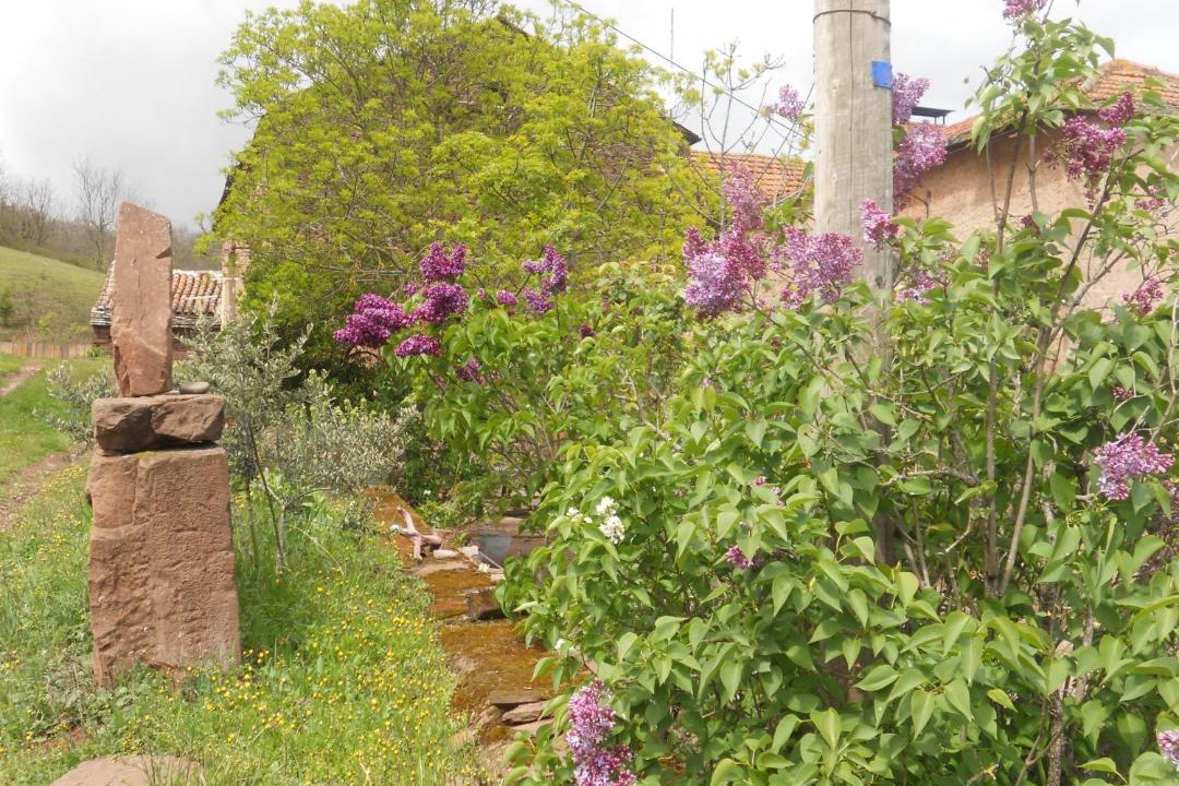 Photo of Others in Saint-Izaire