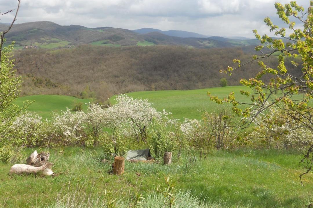 Photo of Others in Saint-Izaire