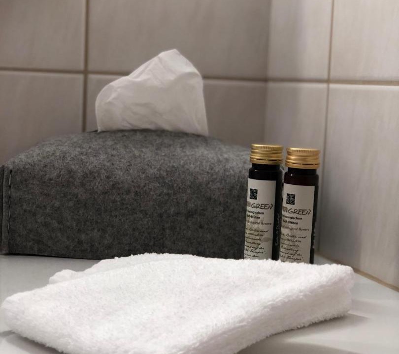 Photo of Bathroom in Ardez
