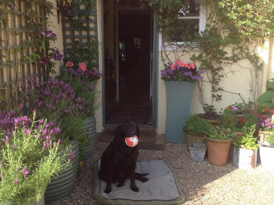 Photo of Others in Bradninch