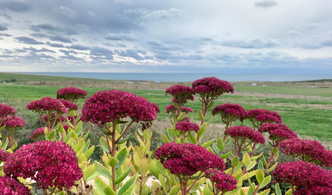 Photo of Others in Wimereux