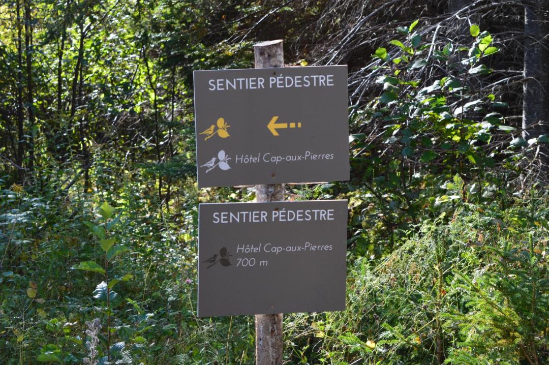 Photo of Outdoor in Isle aux Coudres