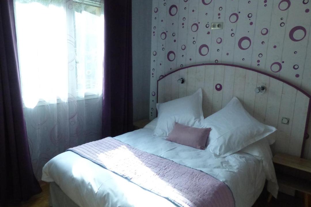 Photo of Others in Bort-l'Etang