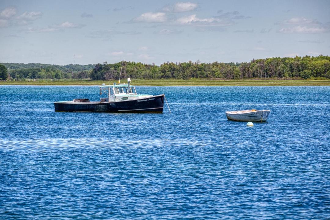 Photo of Others in Scarborough