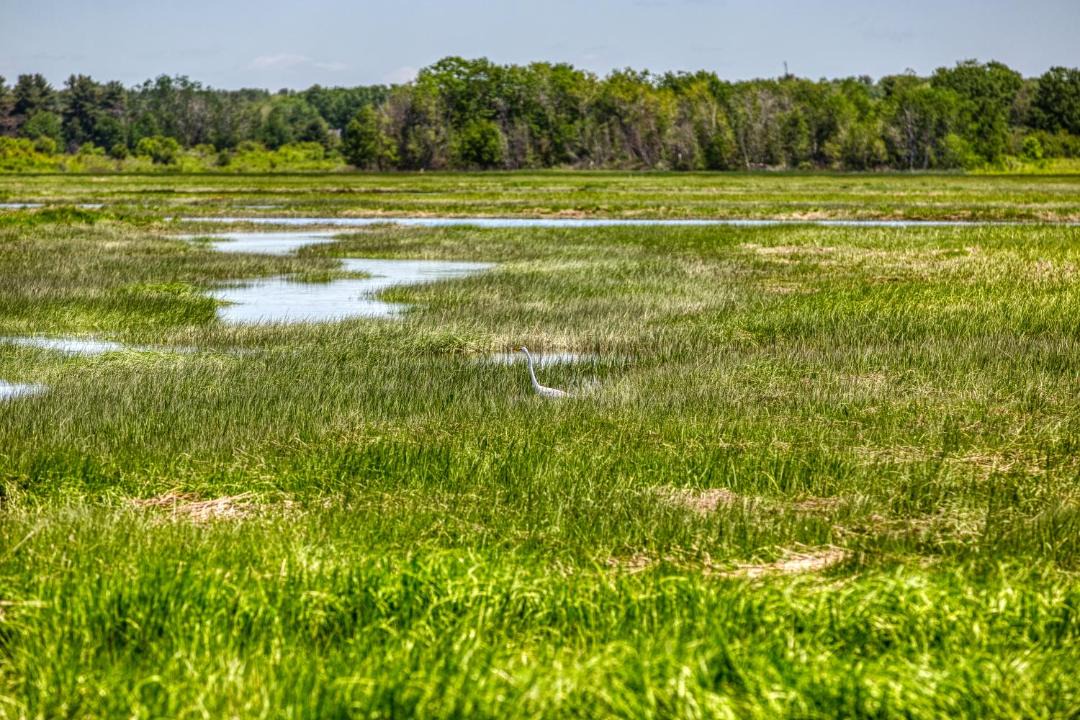Photo of Others in Scarborough