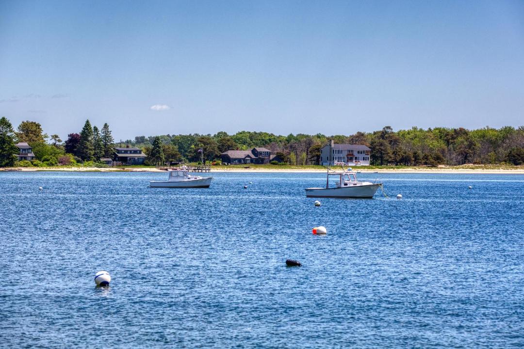 Photo of Others in Scarborough