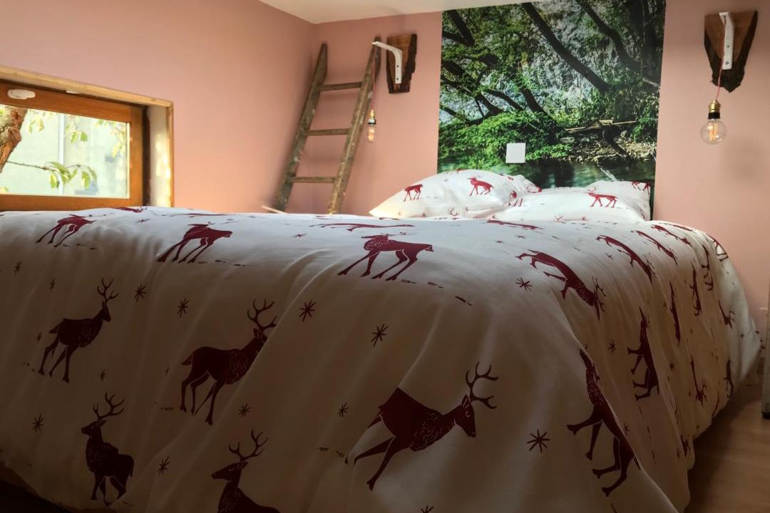 Photo of Bedroom in La Capelle