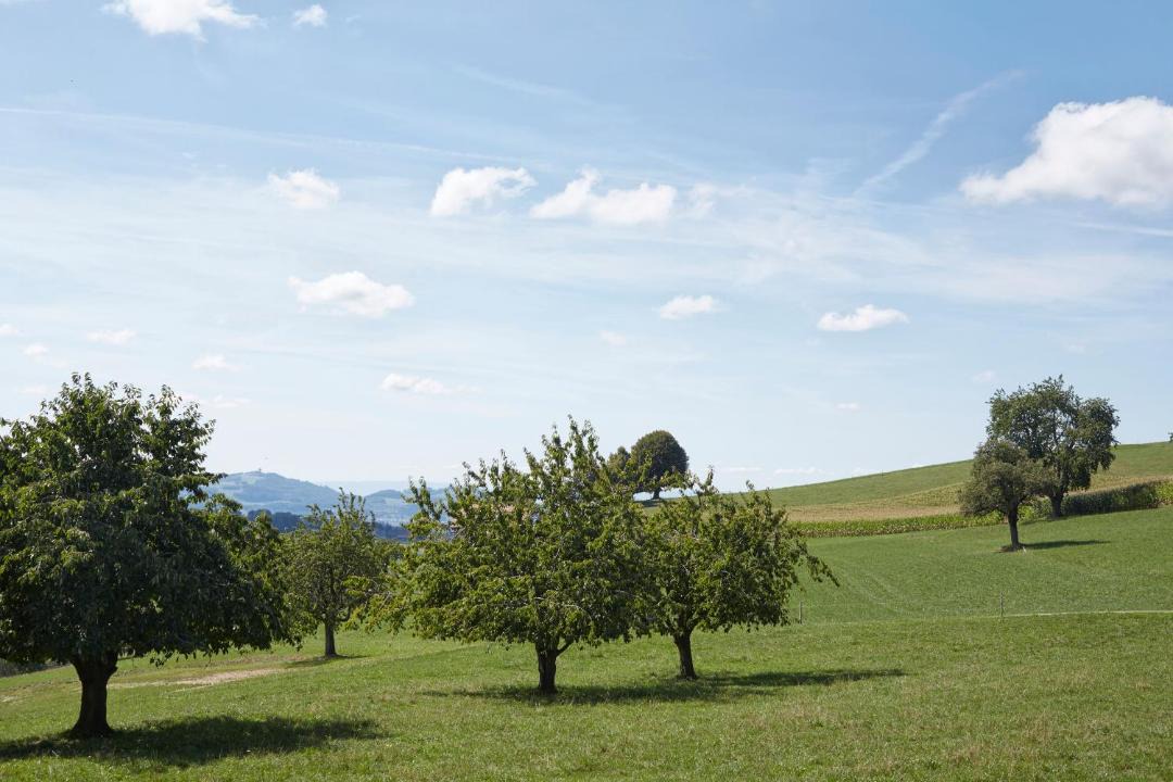 Photo of Others in Oberthal