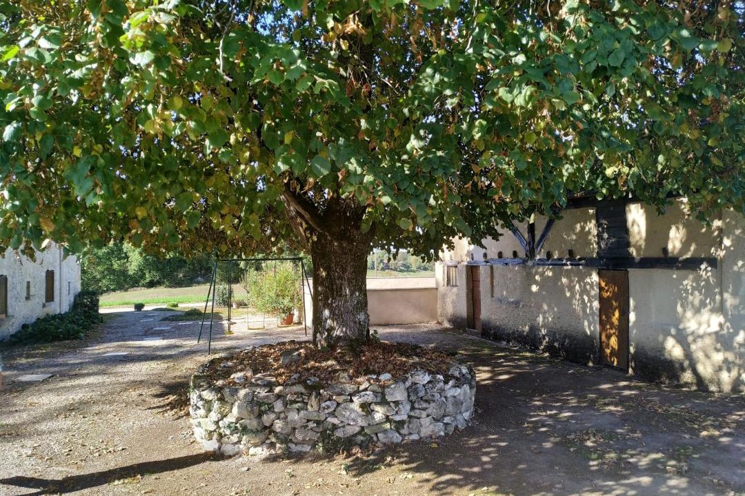Photo of Others in Vergt-de-Biron