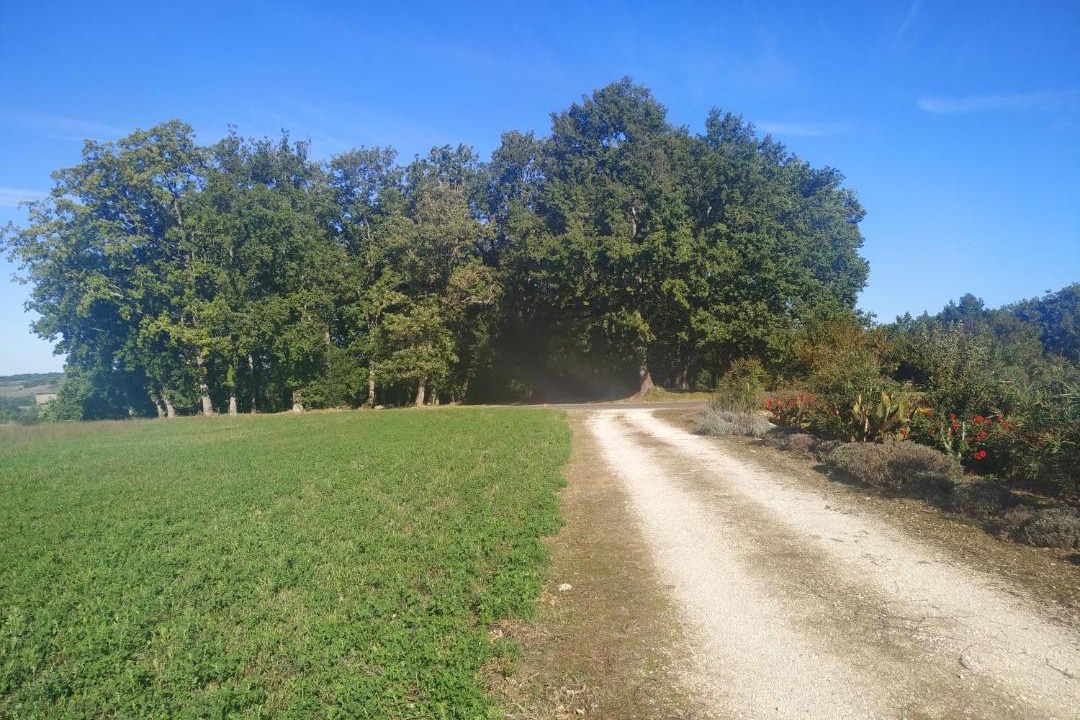 Photo of Others in Vergt-de-Biron