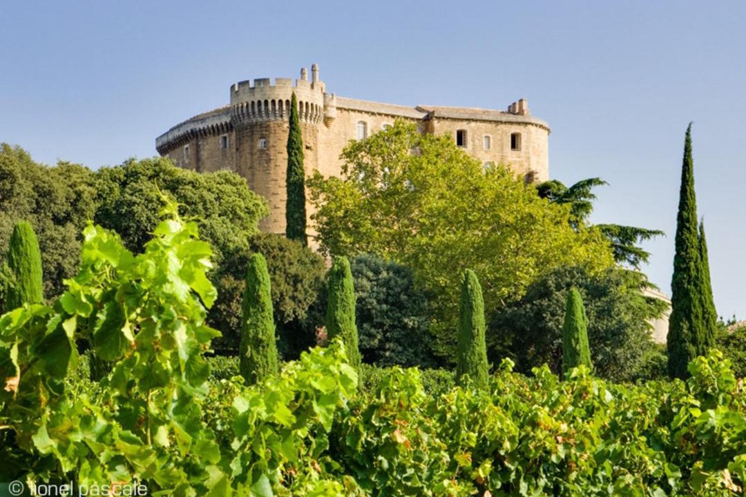 Photo of Others in Saint-Paul-Trois-Chateaux