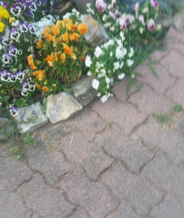 Photo of Outdoor in Dompierre-les-Eglises