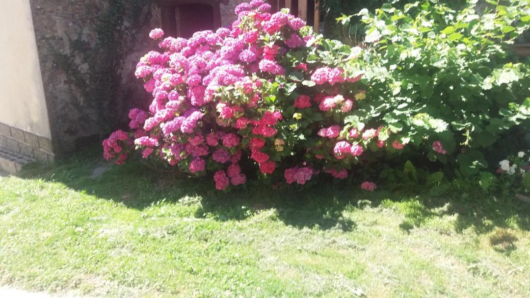 Photo of Others in Dompierre-les-Eglises