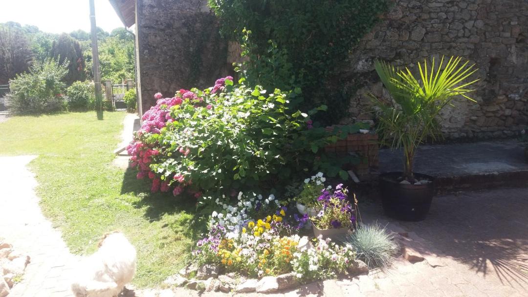 Photo of Others in Dompierre-les-Eglises