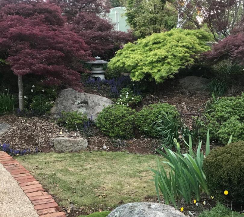 Photo of Outdoor in Gembrook