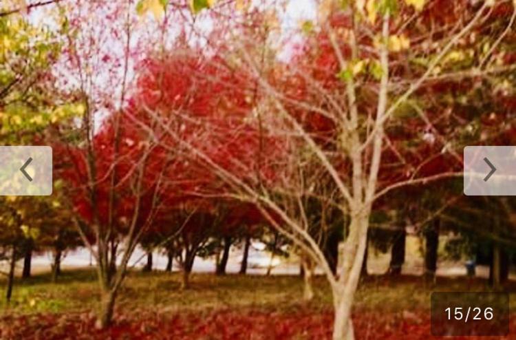 Photo of Others in Houghton