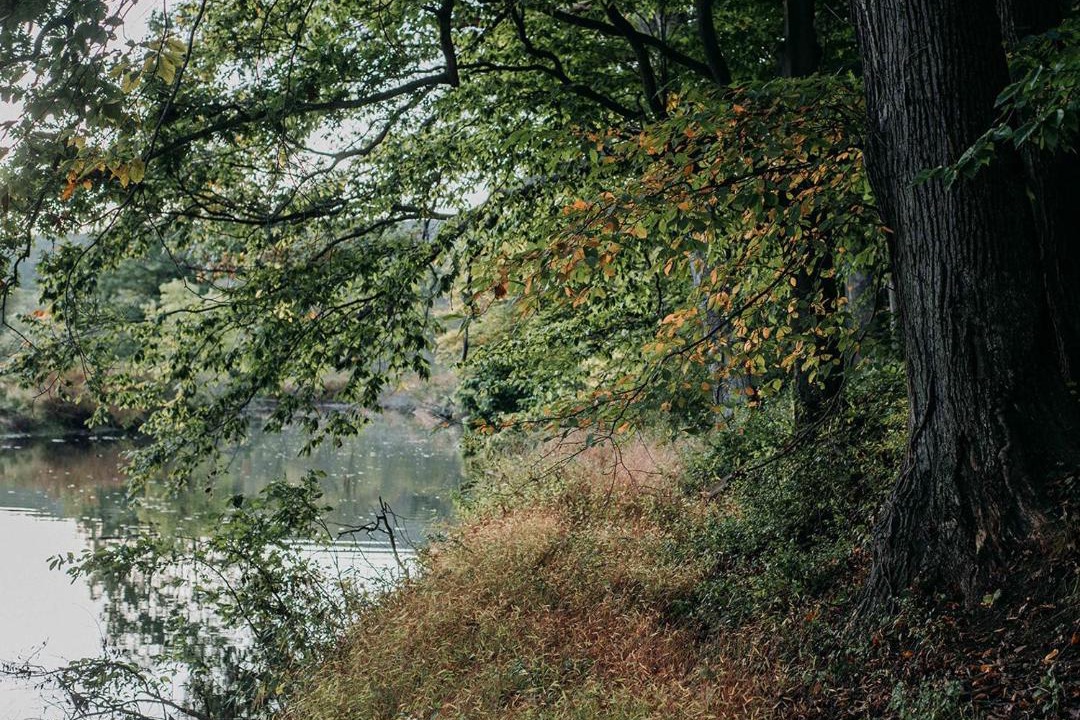 Photo of Outdoor in Ellenville