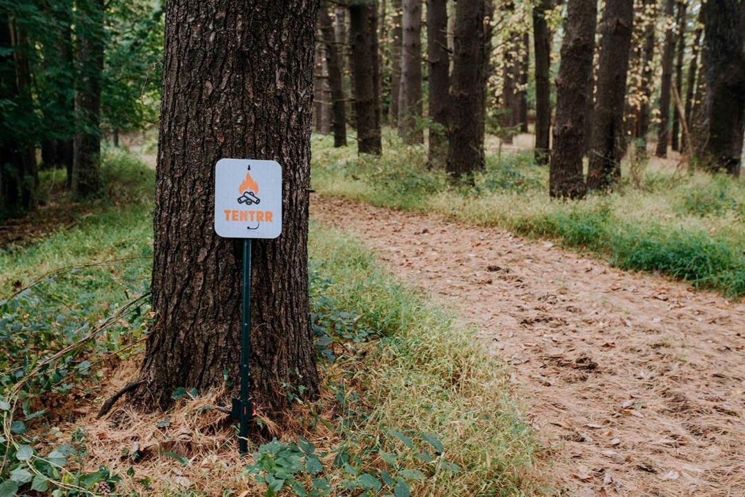 Photo of Buildings in Ellenville
