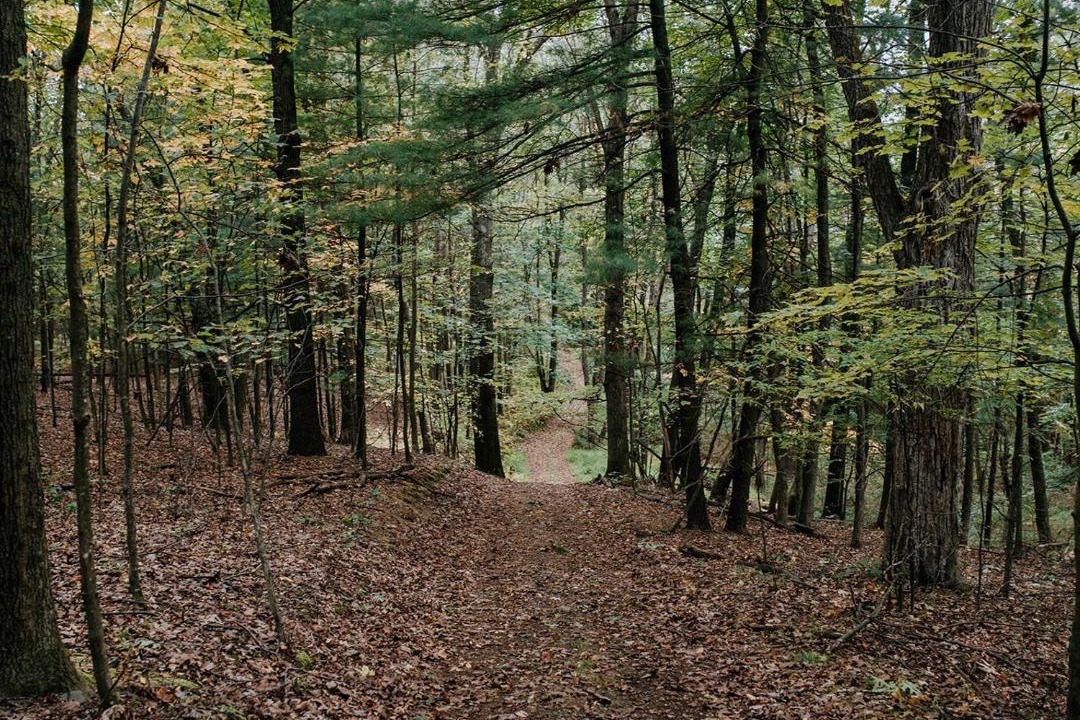 Photo of Others in Ellenville