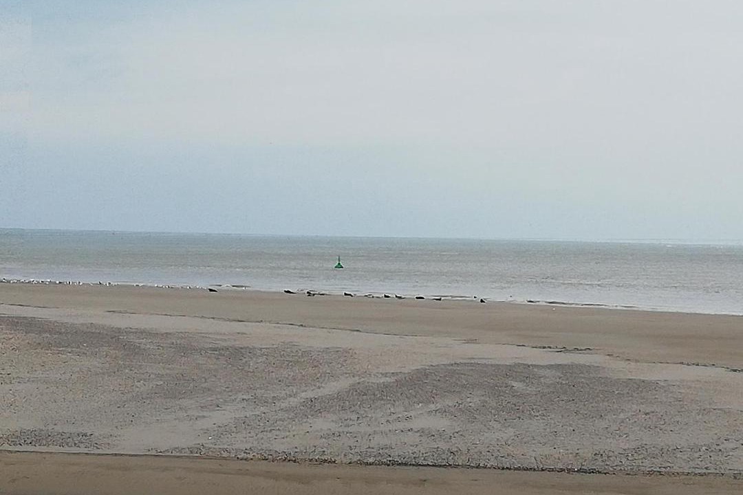 Photo of Others in Le Treport