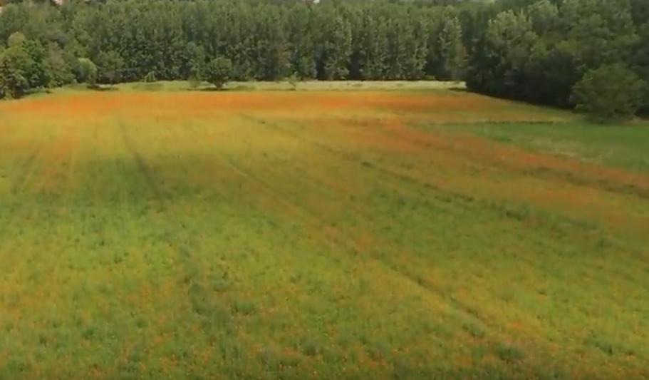 Photo of Outdoor in Migne-Auxances