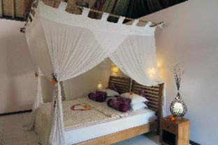 Photo of Others in Tejakula