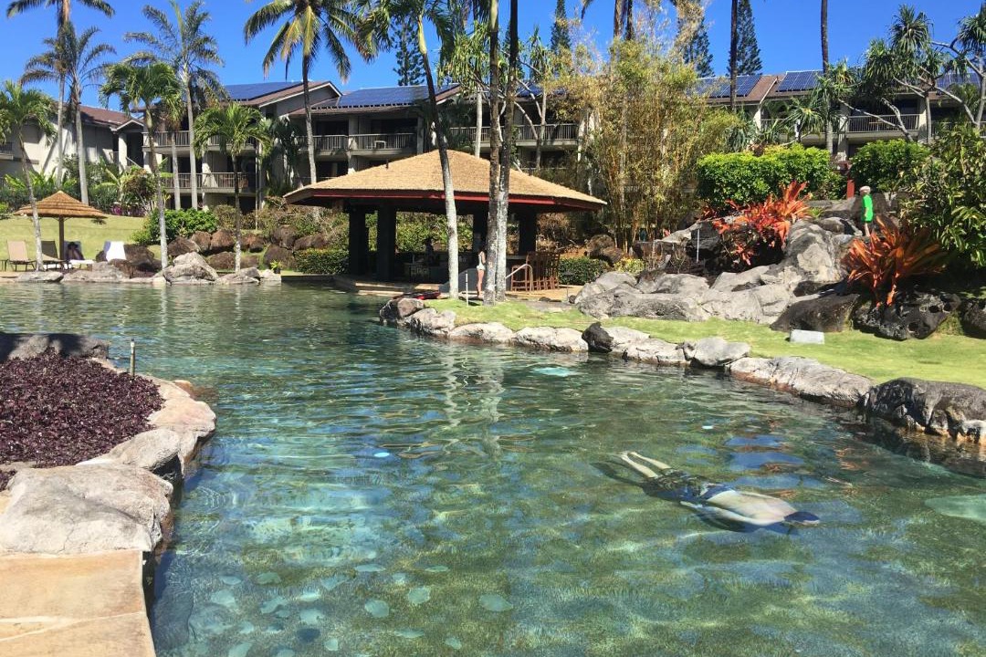 Photo of Others in Princeville