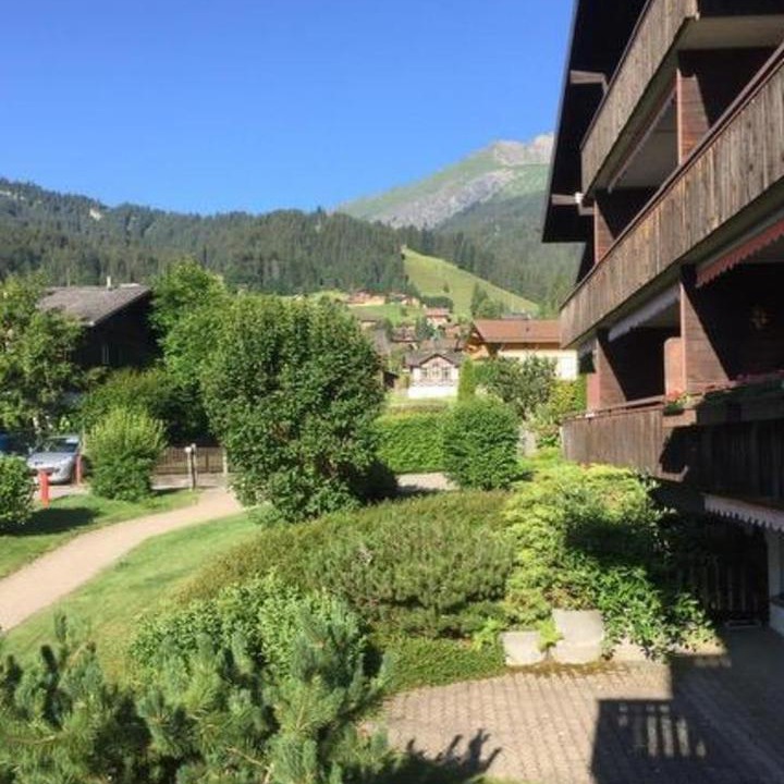 Photo of Others in Lenk