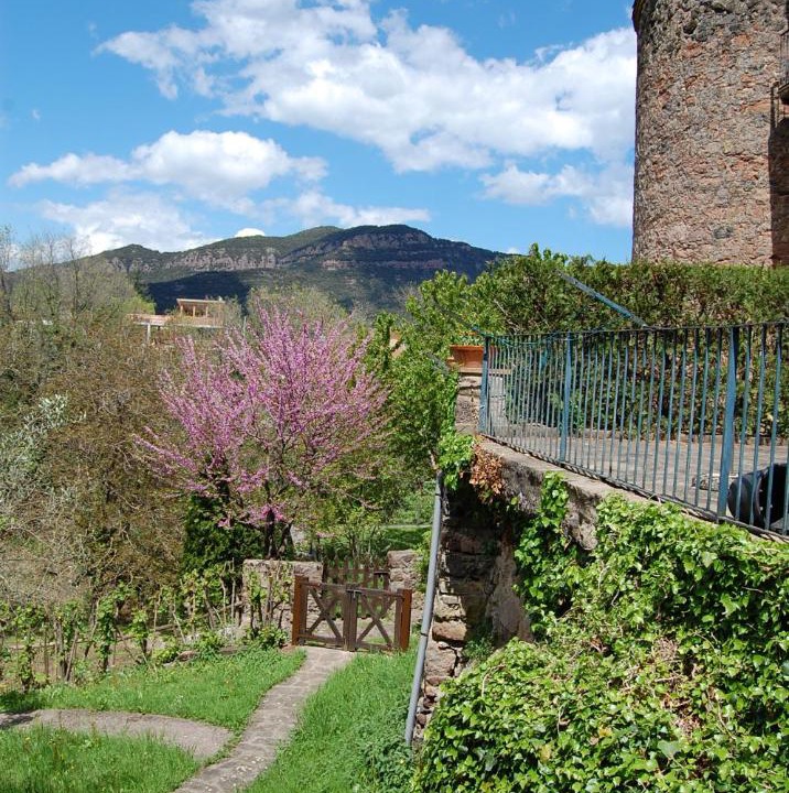 Photo of Others in Santa Pau