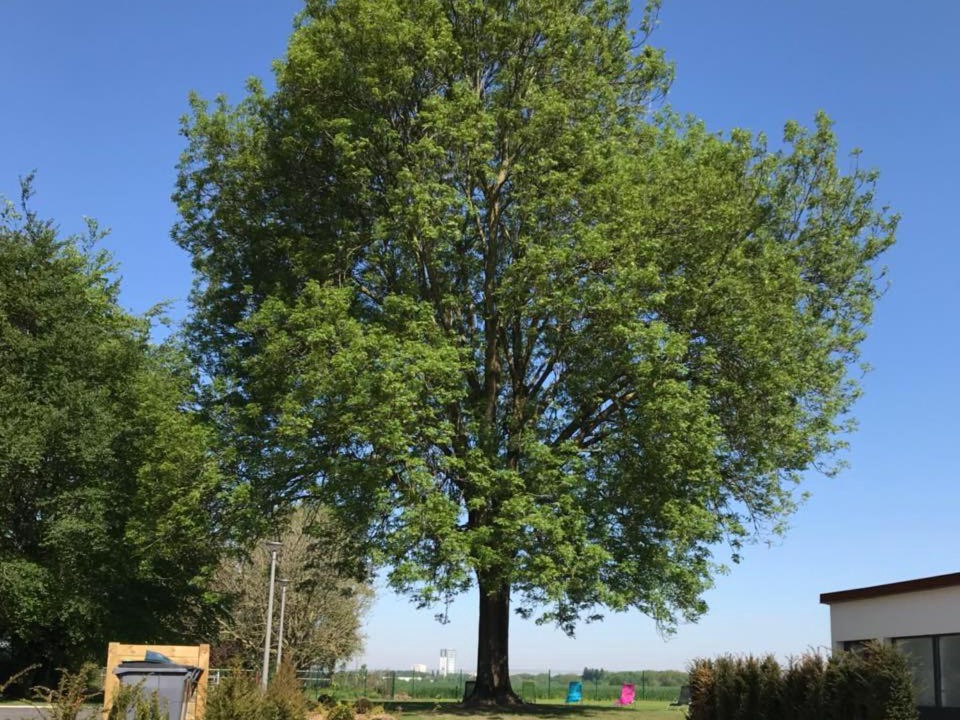 Photo of Outdoor in Wattignies
