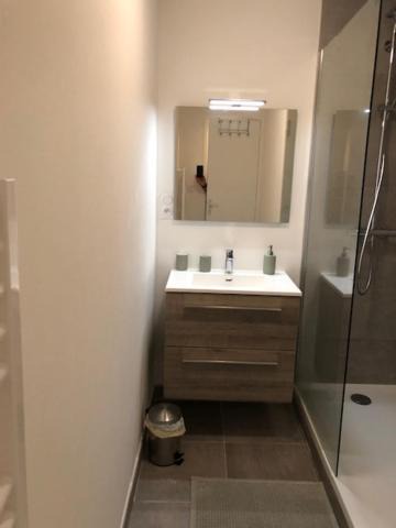 Photo of Bathroom in Downtown Angers