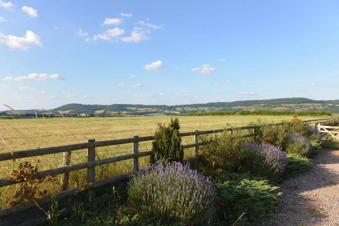 Photo of Others in Monmouth