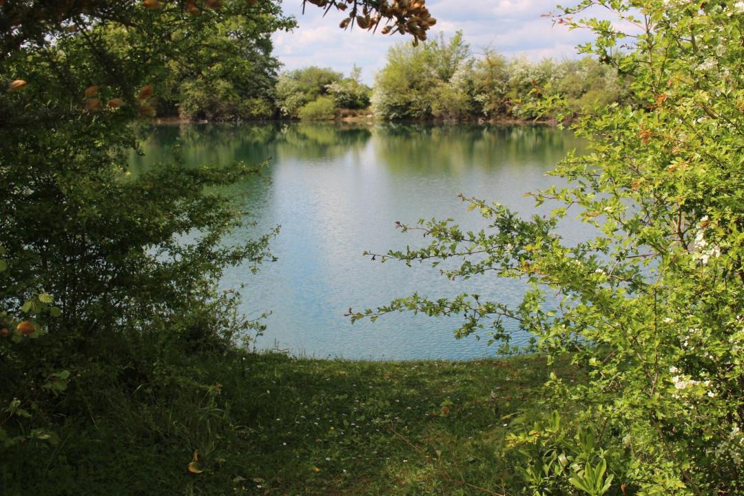 Photo of Others in Angrie