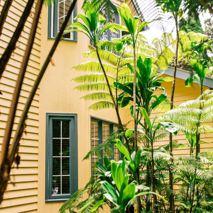 Photo of Others in Volcano